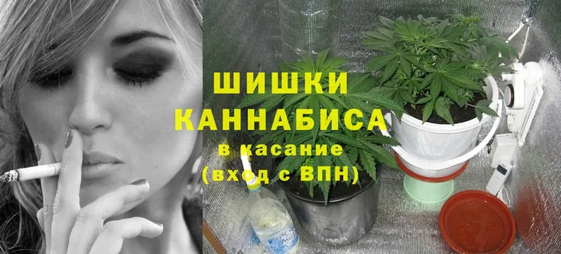 МЕГА вход  наркота  Ивантеевка  Шишки марихуана White Widow 